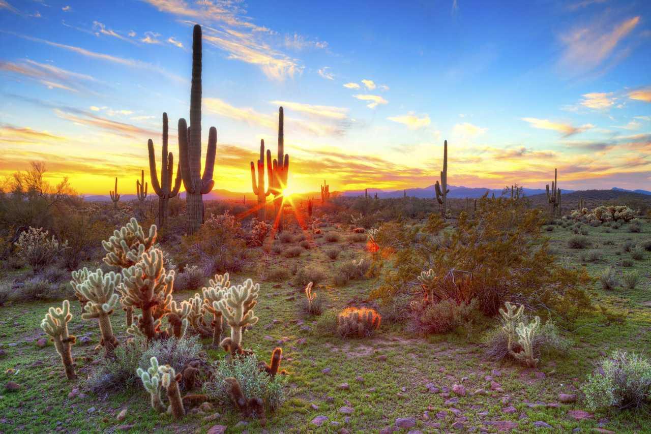 Cambria Hotel Phoenix - North Scottsdale Ngoại thất bức ảnh