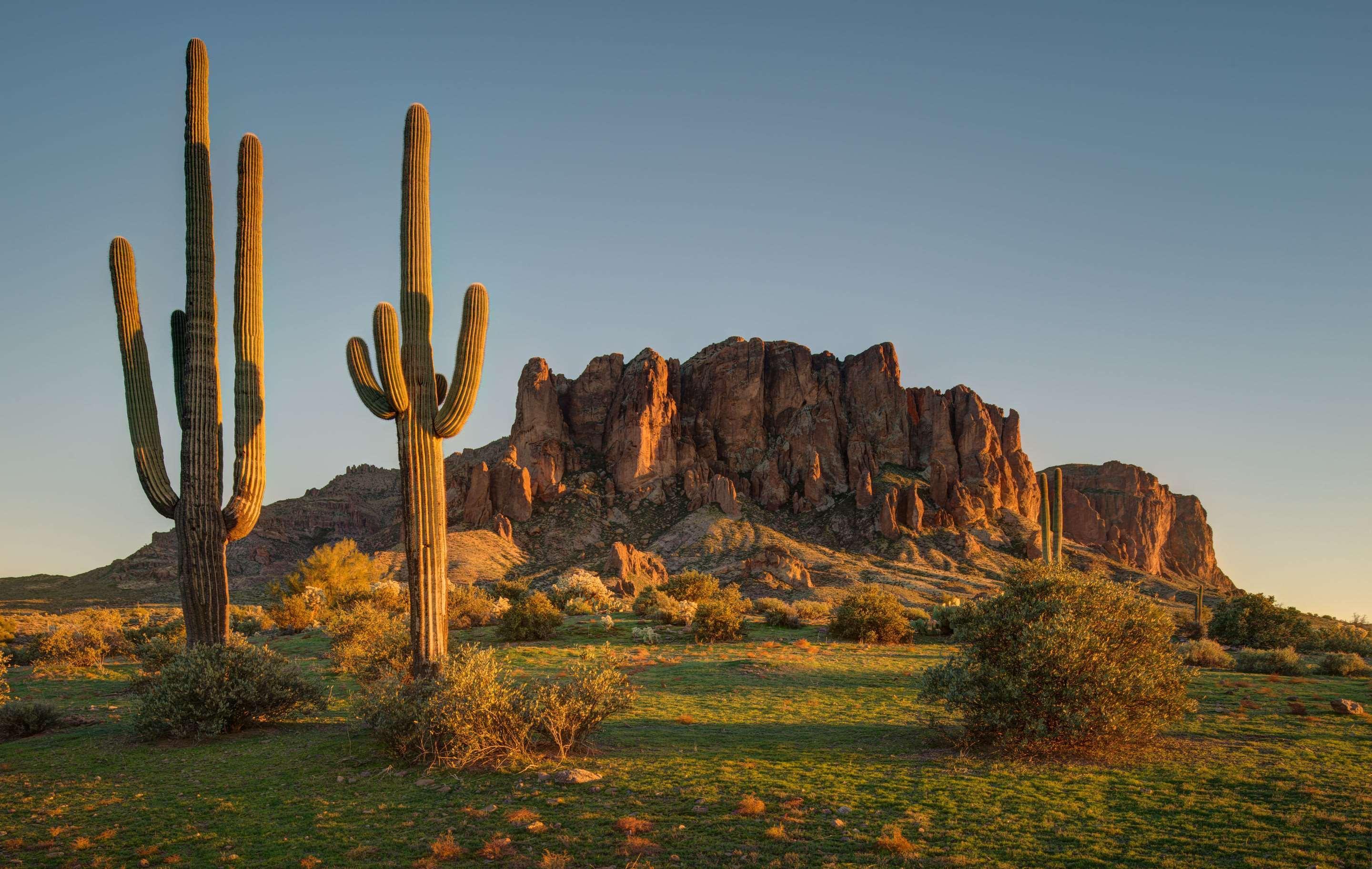 Cambria Hotel Phoenix - North Scottsdale Ngoại thất bức ảnh